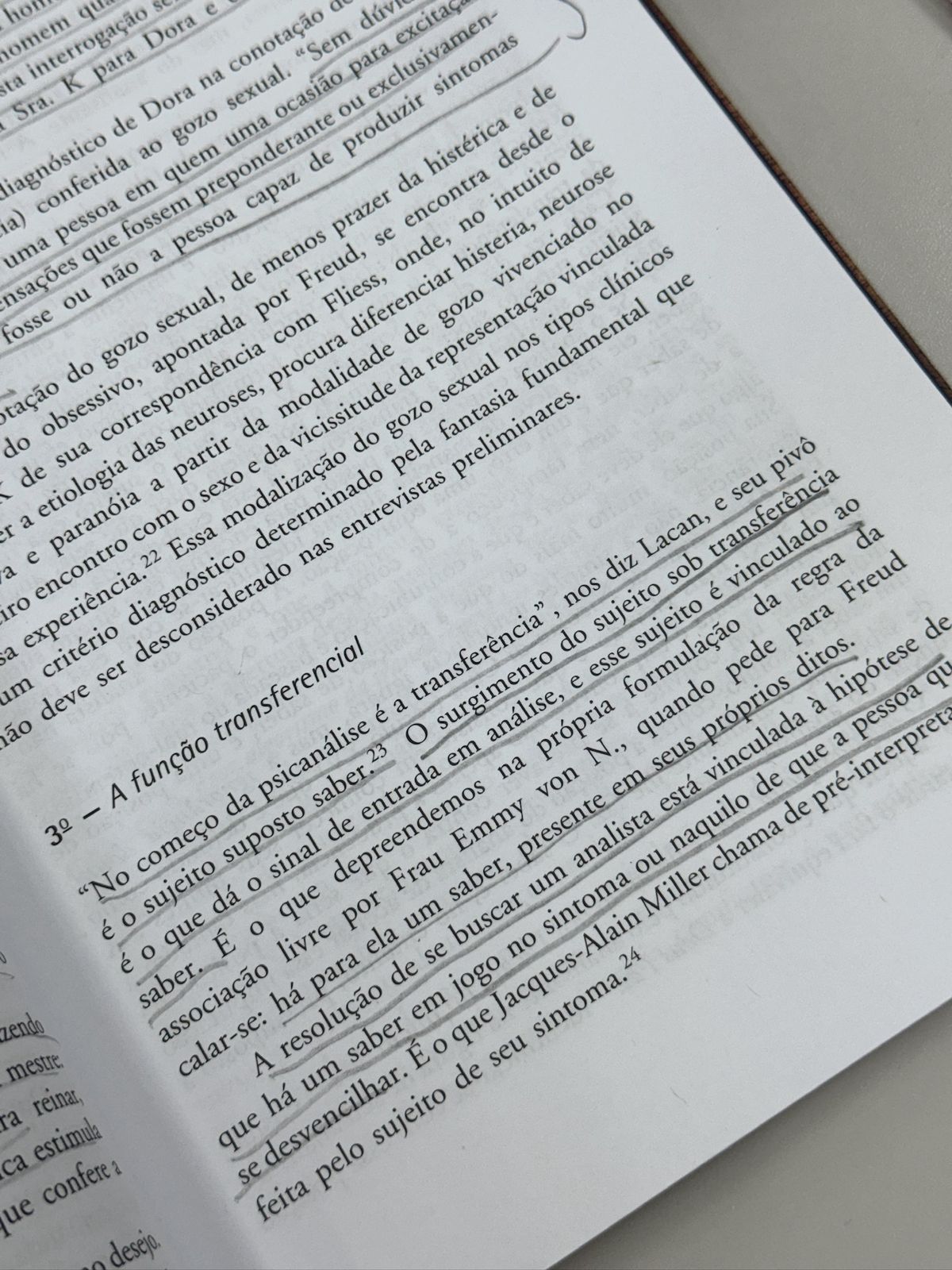 Aprendizados e reflexões psicanalíticas